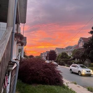 Meet your Posher, Haidyn